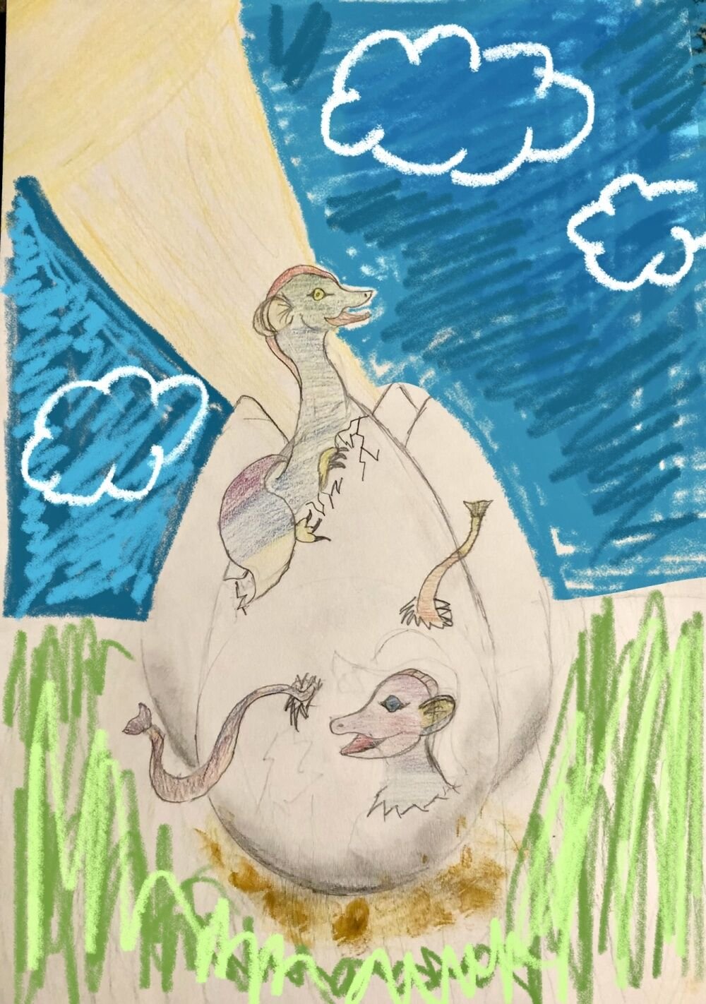 Emily-Rose Wilson   Age 9
