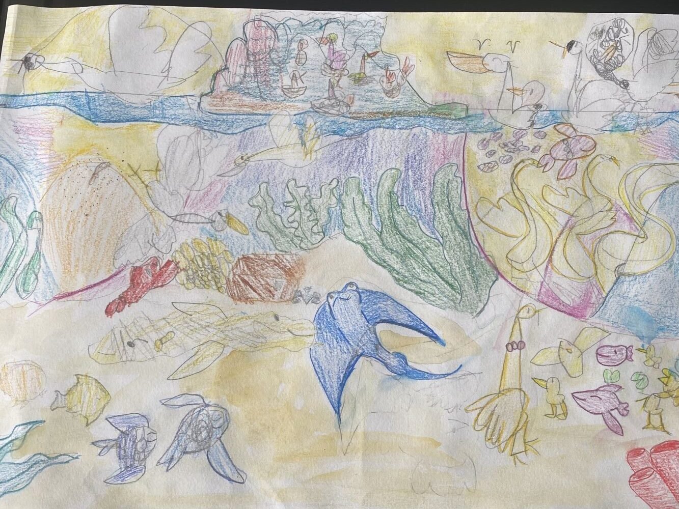 Diyon Rajakaruna   Age 8
