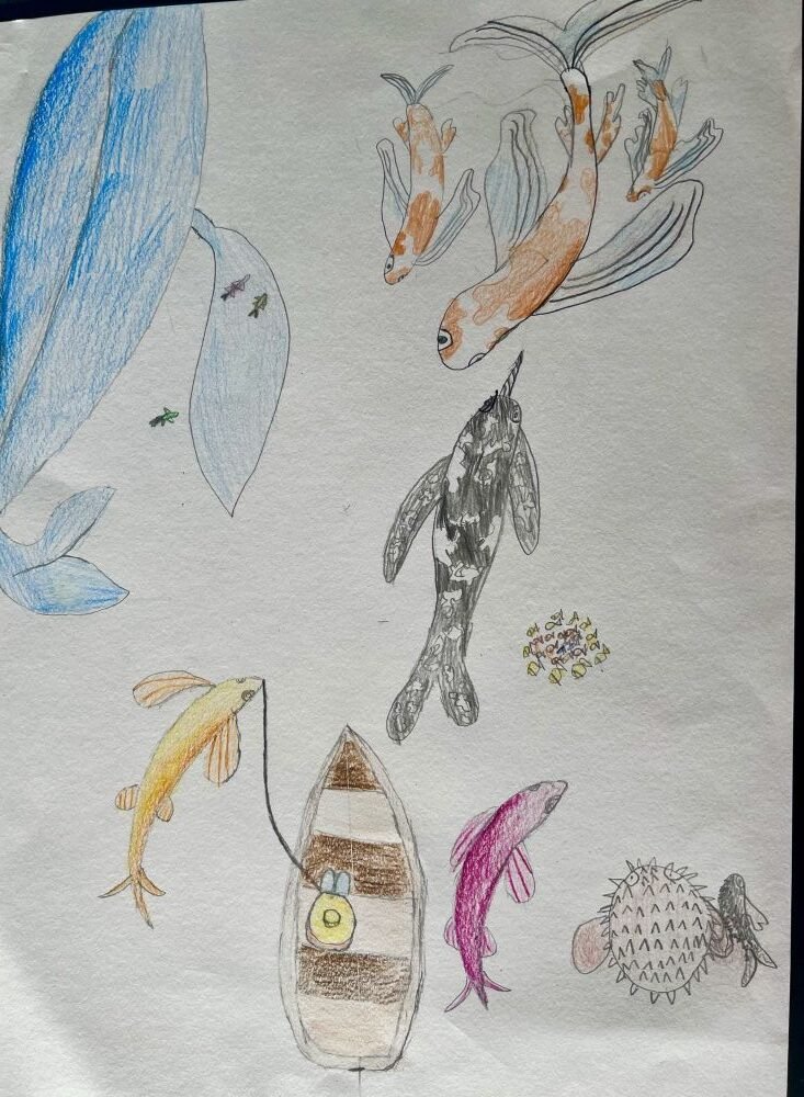 Aaira Syed   Age 8