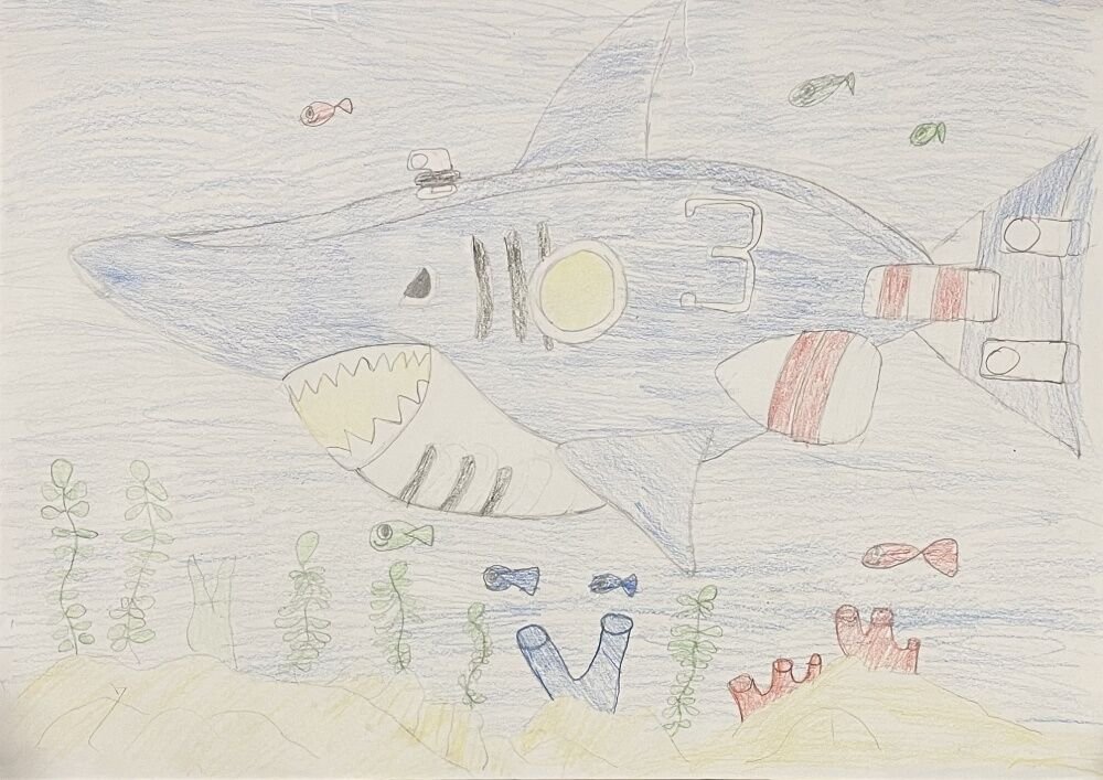 AIDEN LIM   Age 7