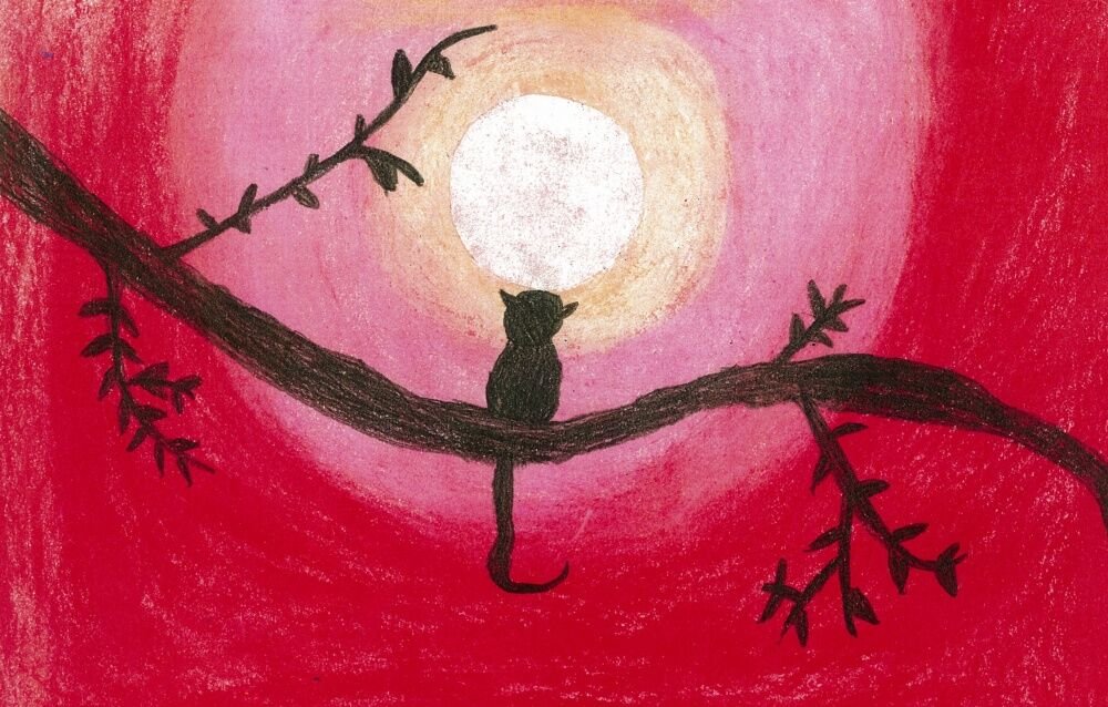 Amelia Fan   Age 7
